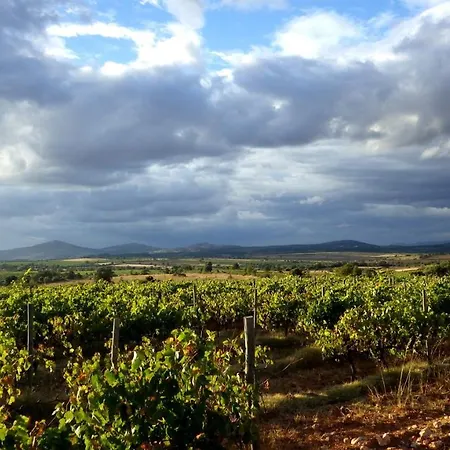 Casa Da Laja - Casas De Villar- Rural Experience Country house Vilar de Amargo