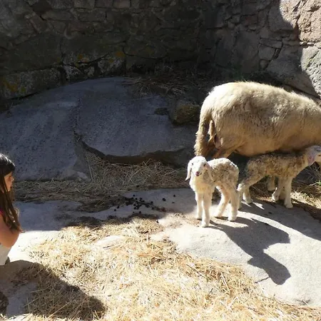 Casa Da Laja - Casas De Villar- Rural Experience