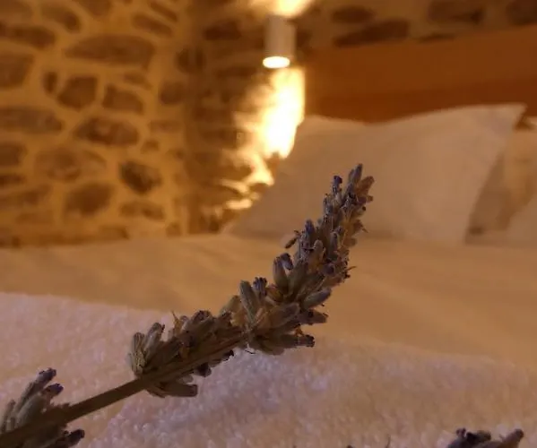 Casa Da Laja - Casas De Villar- Rural Experience בית כפרי Vilar de Amargo