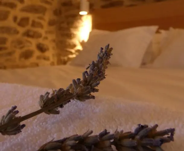 Casa Da Laja - Casas De Villar- Rural Experience בית כפרי