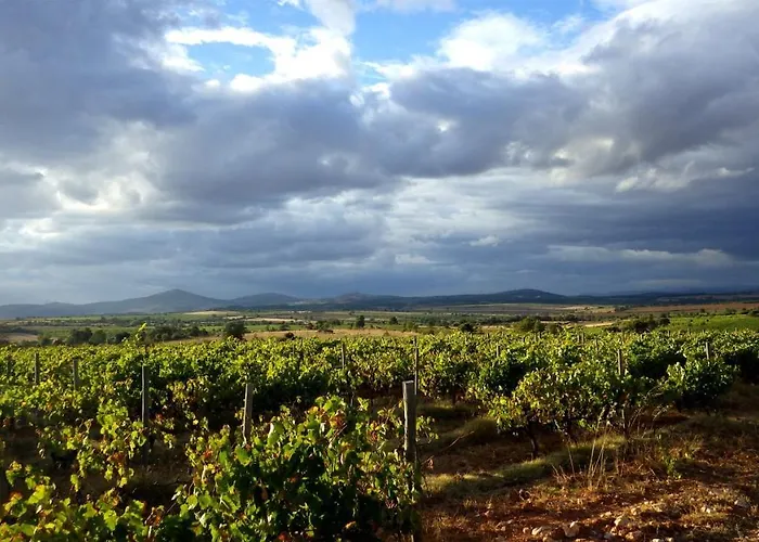 Casa Da Laja - Casas De Villar- Rural Experience בית כפרי Vilar de Amargo
