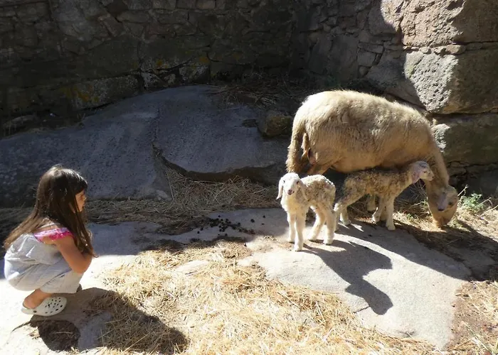 Casa Da Laja - Casas De Villar- Rural Experience